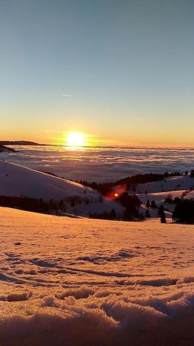 Ferienwohnung Schog Todtnau Bagian luar foto