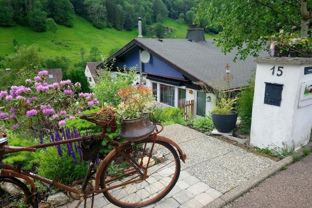Ferienwohnung Schog Todtnau Bagian luar foto