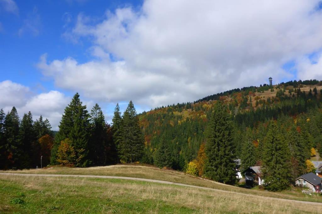 Ferienwohnung Schog Todtnau Bagian luar foto